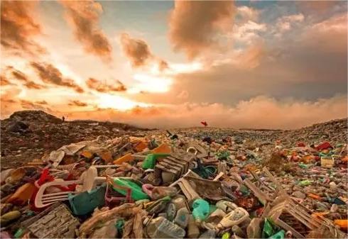 终结塑料污染，大家还需做什么？(图7)